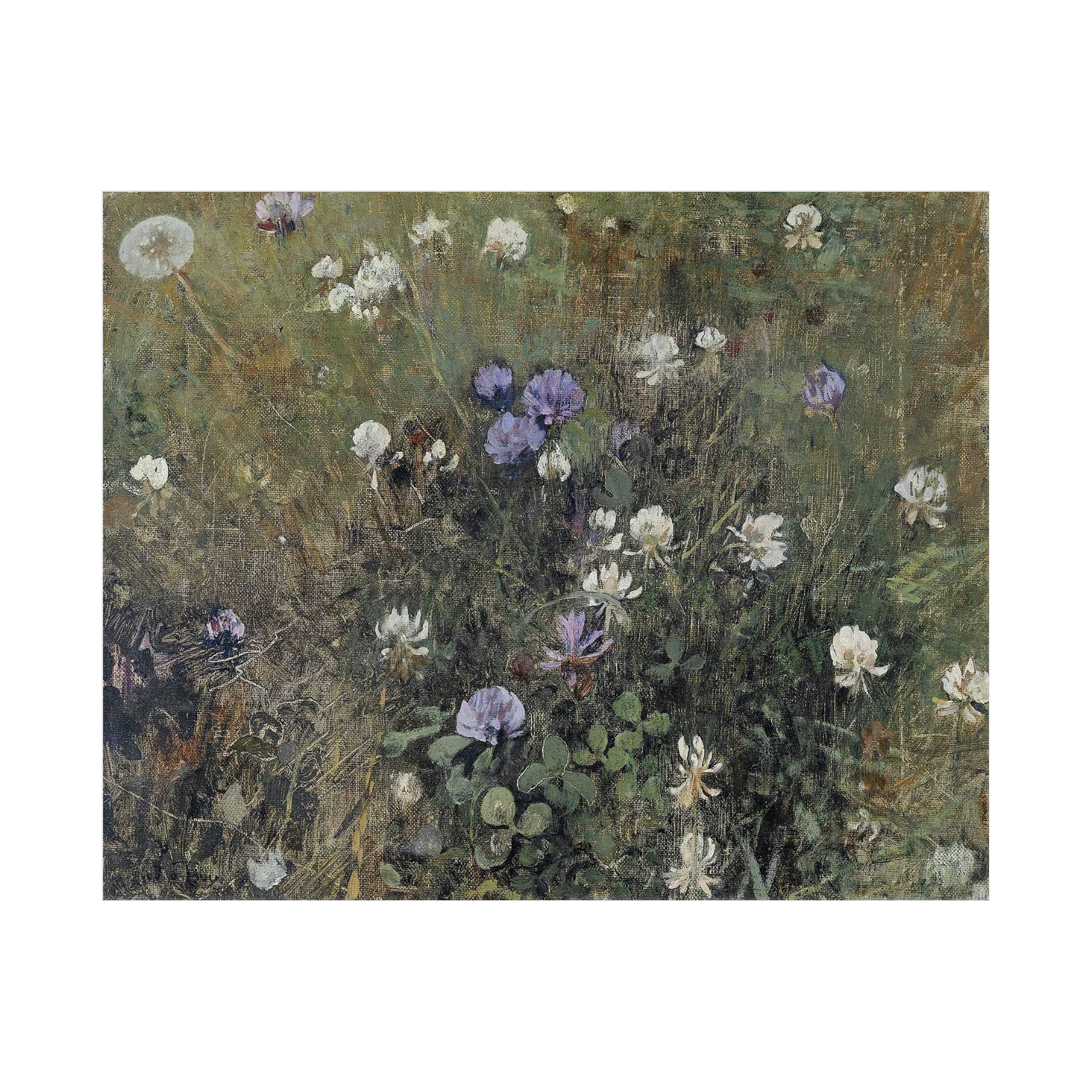 Umetnička slika Cvetna poljana na platnu - NS Canvas Shop