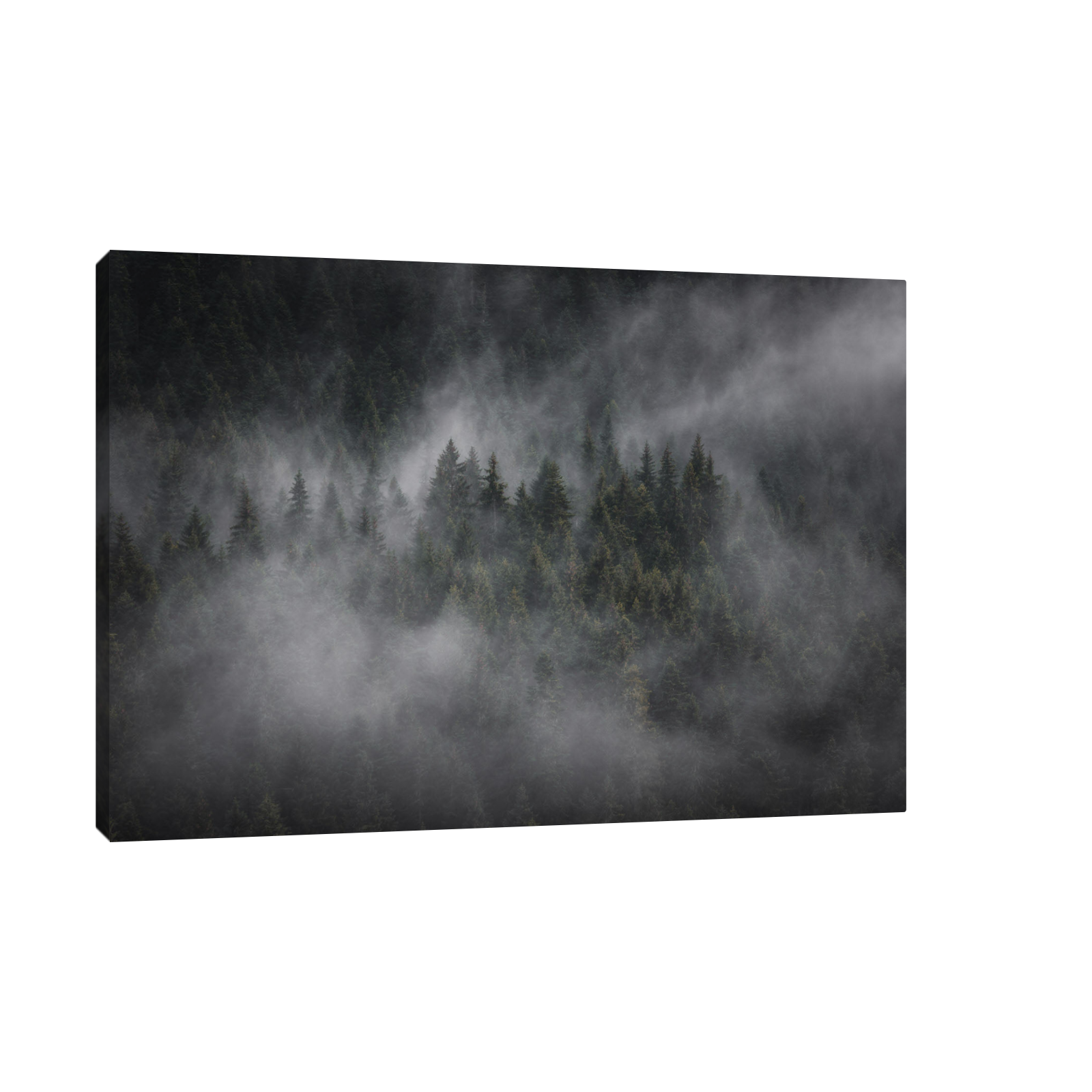 Umetnička slika Foggy forest na platnu - NS Canvas Shop
