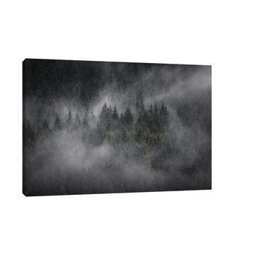 Umetnička slika Foggy forest na platnu - NS Canvas Shop