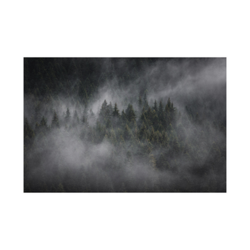 Umetnička slika Foggy forest na platnu - NS Canvas Shop