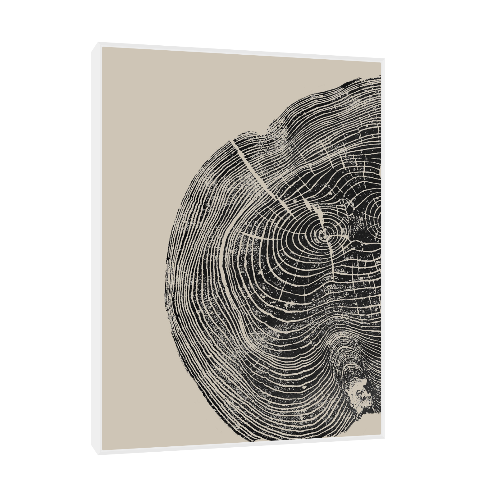Umetnička slika Godovi na platnu - NS Canvas Shop