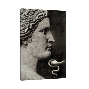 Umetnička slika Grčka Boginja na platnu - NS Canvas Shop