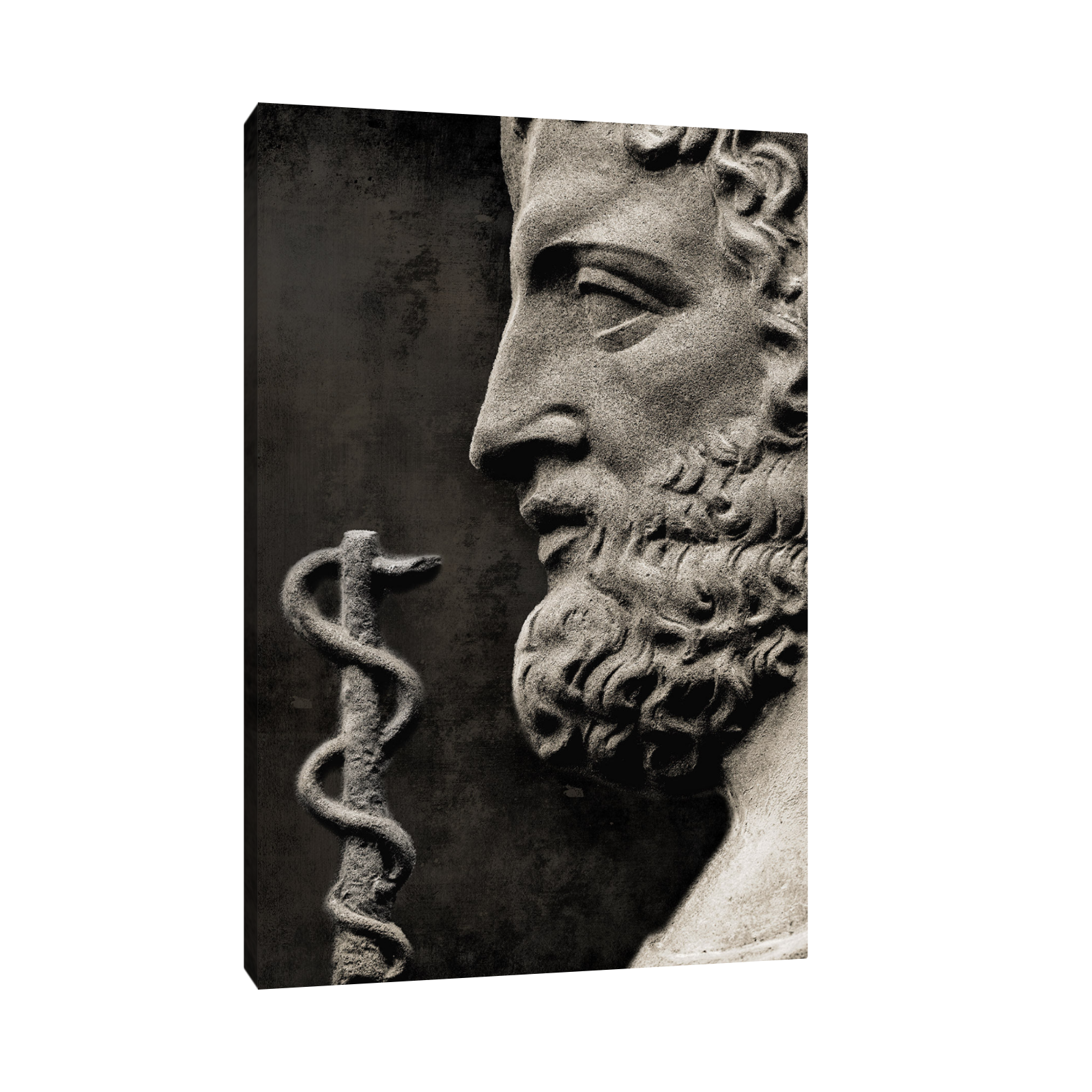 Umetnička slika Grčki bog lečenja Asclepius na platnu - NS Canvas Shop