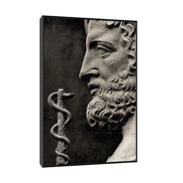 Umetnička slika Grčki bog lečenja Asclepius na platnu - NS Canvas Shop