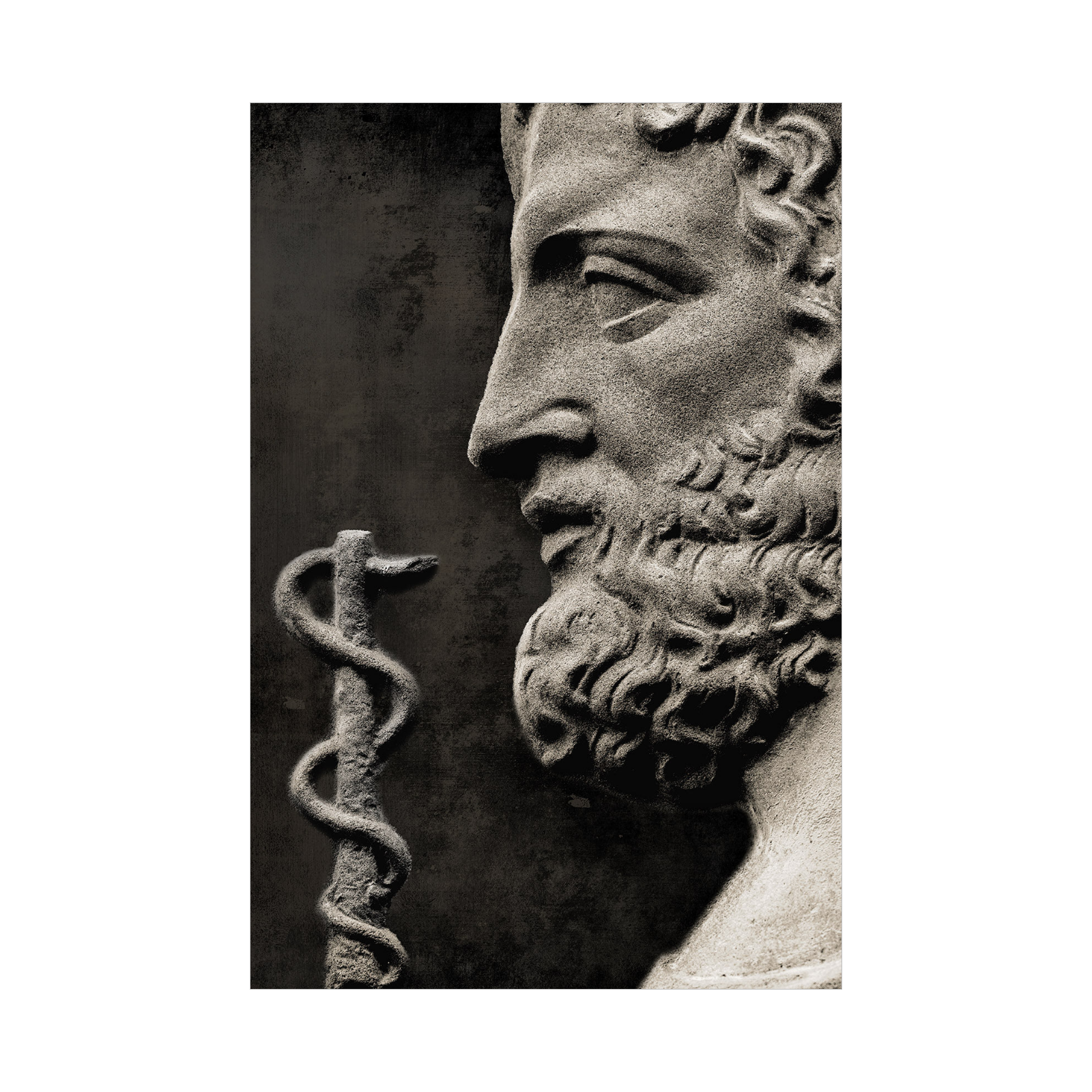 Umetnička slika Grčki bog lečenja Asclepius na platnu - NS Canvas Shop