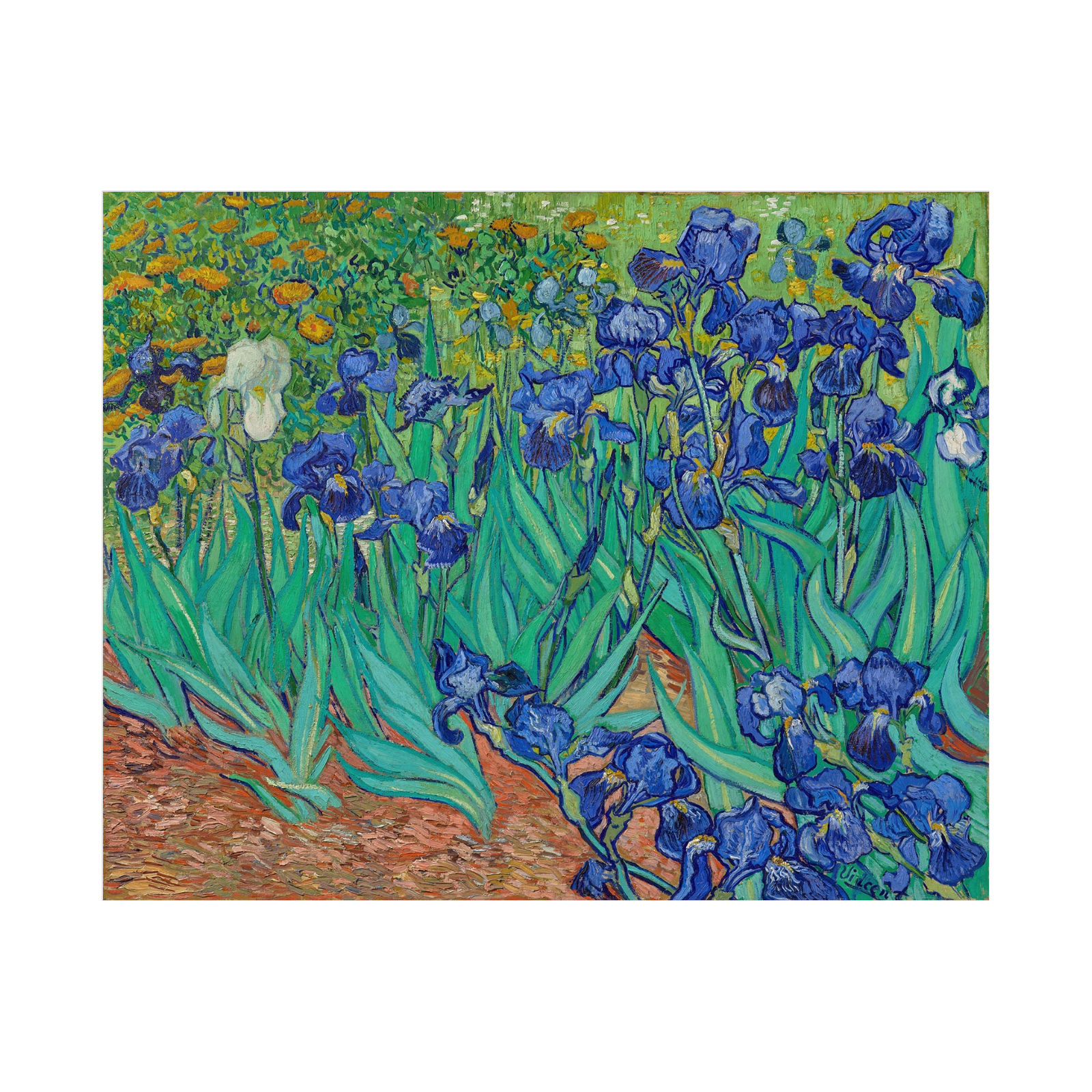 Umetnička slika Irises, Vincent van Gogh na platnu - NS Canvas Shop