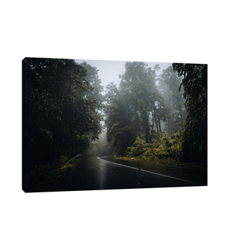 Umetnička slika Kroz šumu II na platnu - NS Canvas Shop