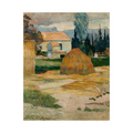 Umetnička slika Landscape Near Arles, Paul Gauguin na platnu - NS Canvas Shop