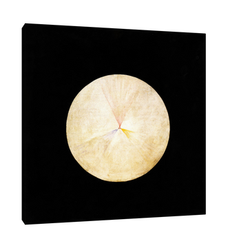 Umetnička slika Series SUW, Hilma af Klint na platnu - NS Canvas Shop