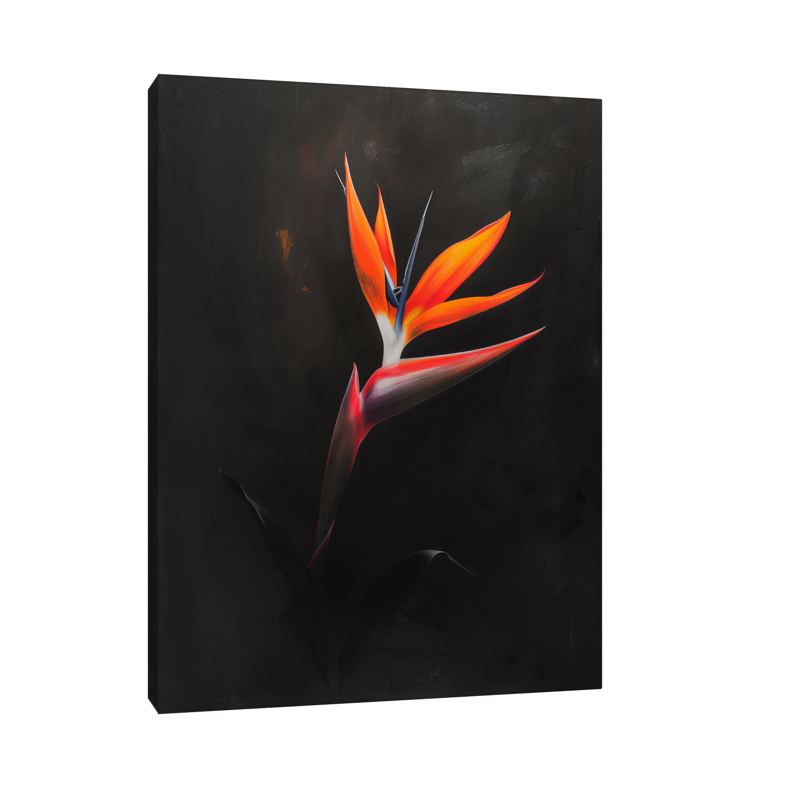 Umetnička slika Strelitzia na crnu pozadinu II na platnu - NS Canvas Shop