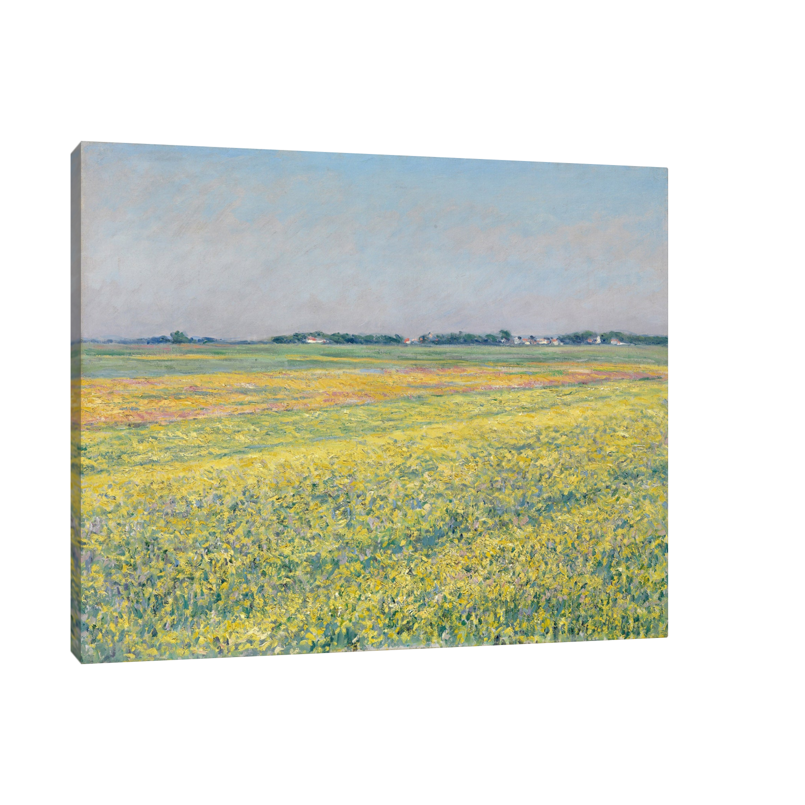 Umetnička slika The plain of Gennevilliers, yellow fields, Gustave Caillebotte na platnu - NS Canvas Shop