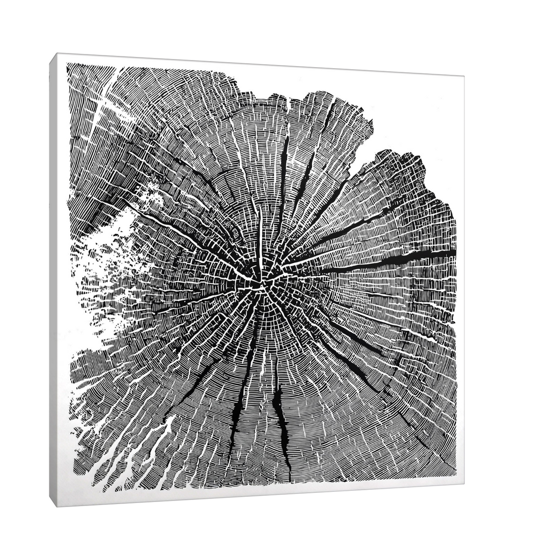 Apstraktni godovi drveta