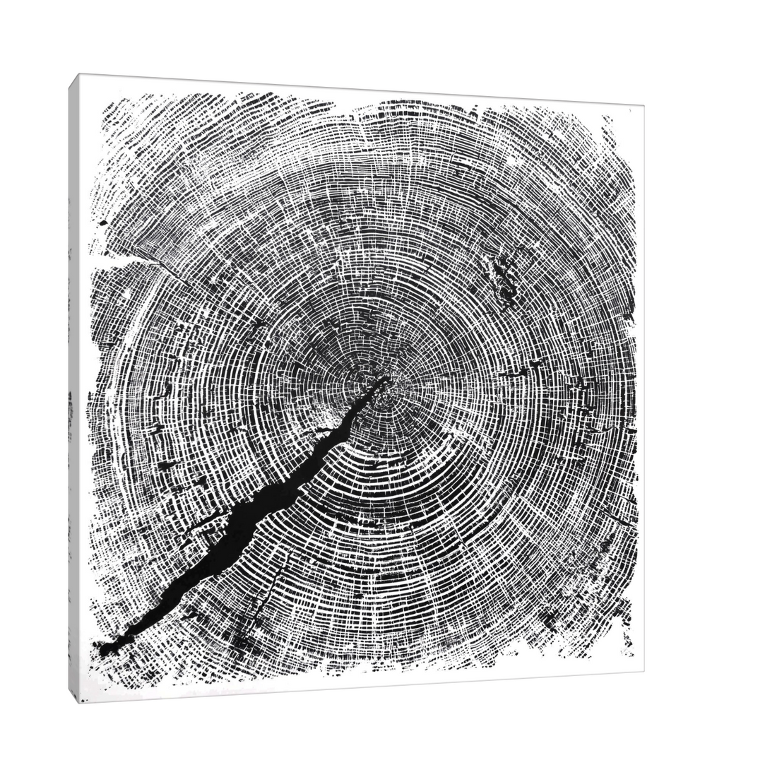 Apstraktni godovi drveta II