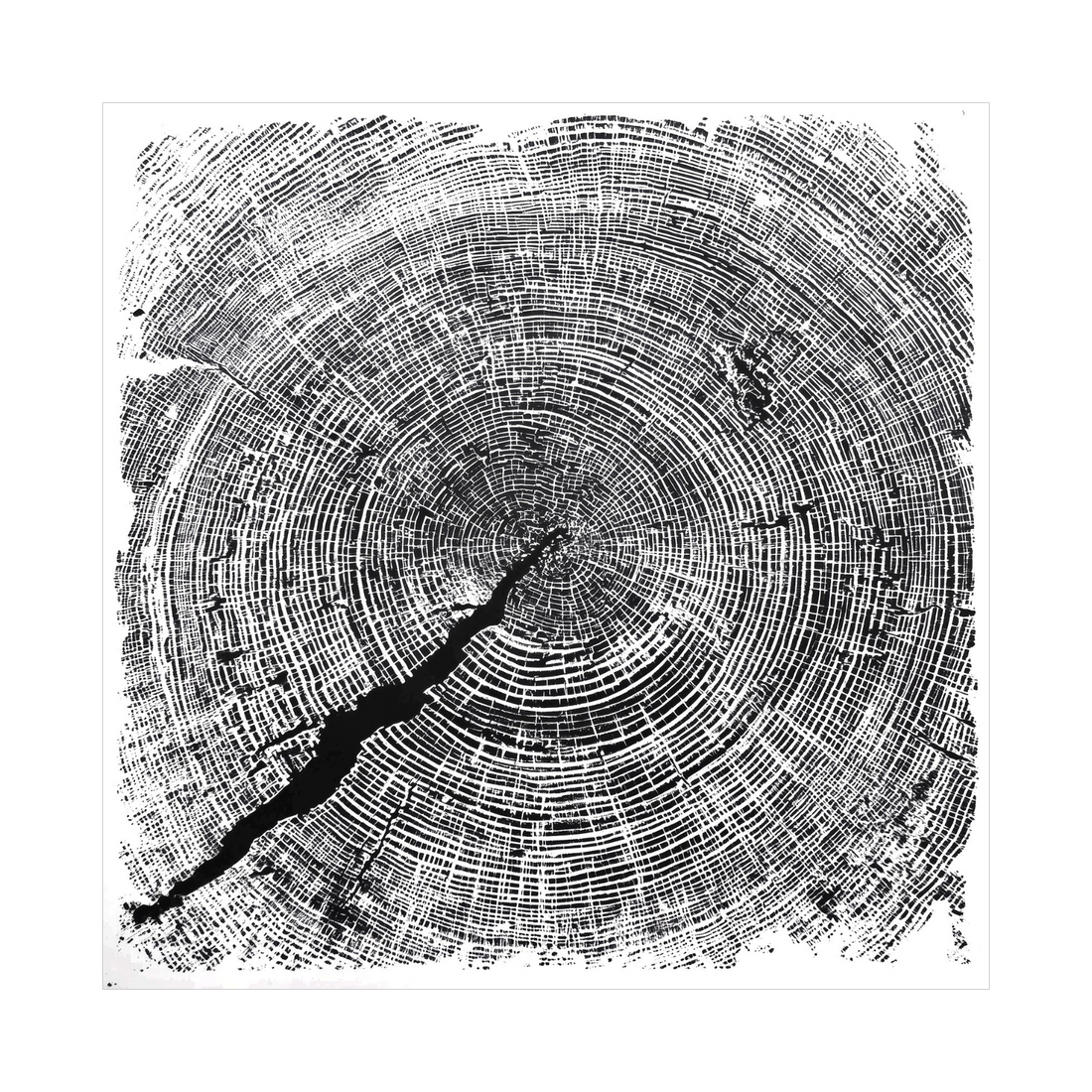 Apstraktni godovi drveta II