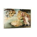 Umetnička slika ​Birth Of Venus, Sandro Botticelli na platnu - NS Canvas Shop