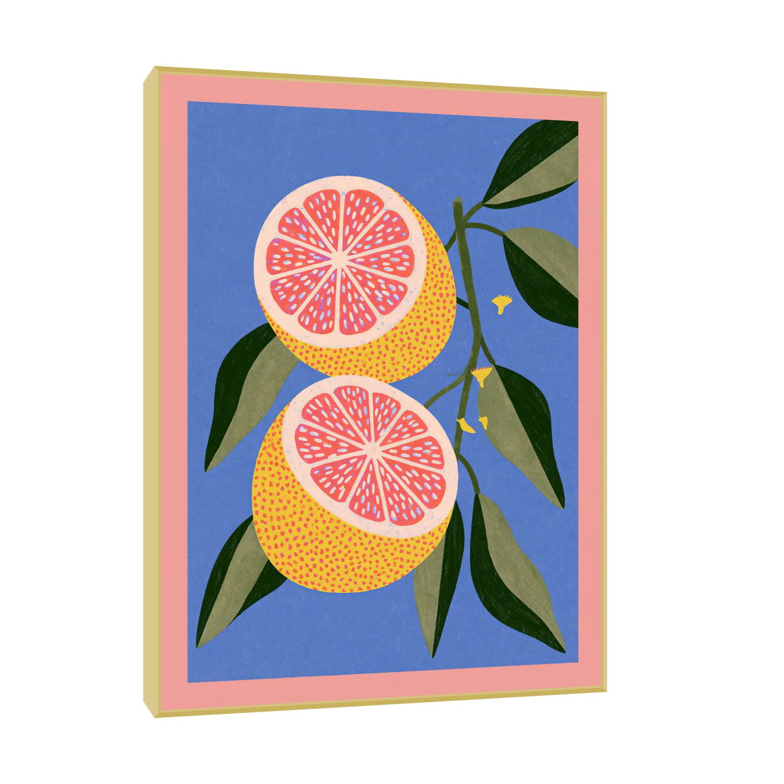 Citrusna