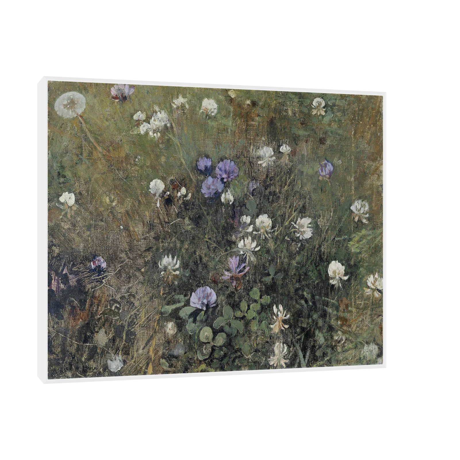 Umetnička slika ​Cvetna poljana na platnu - NS Canvas Shop