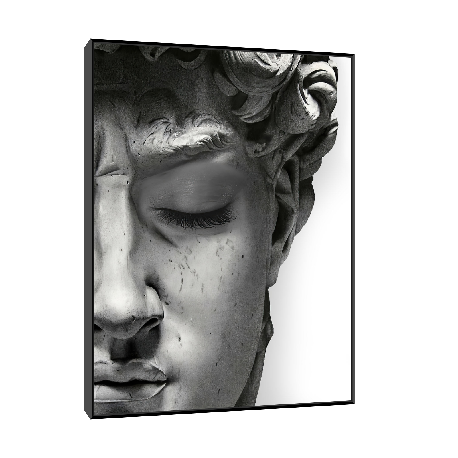 Umetnička slika ​David na platnu - NS Canvas Shop