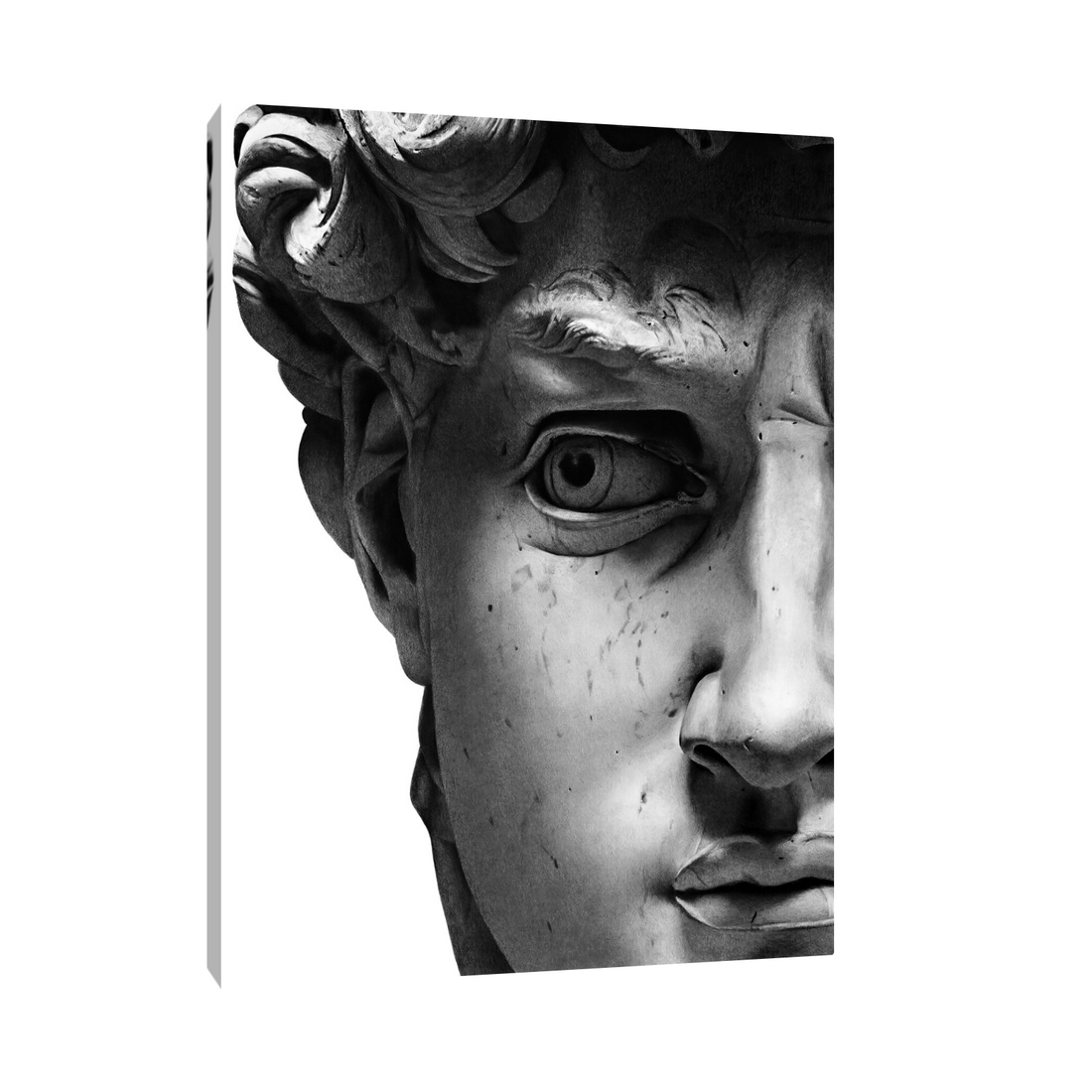 Umetnička slika ​David II na platnu - NS Canvas Shop