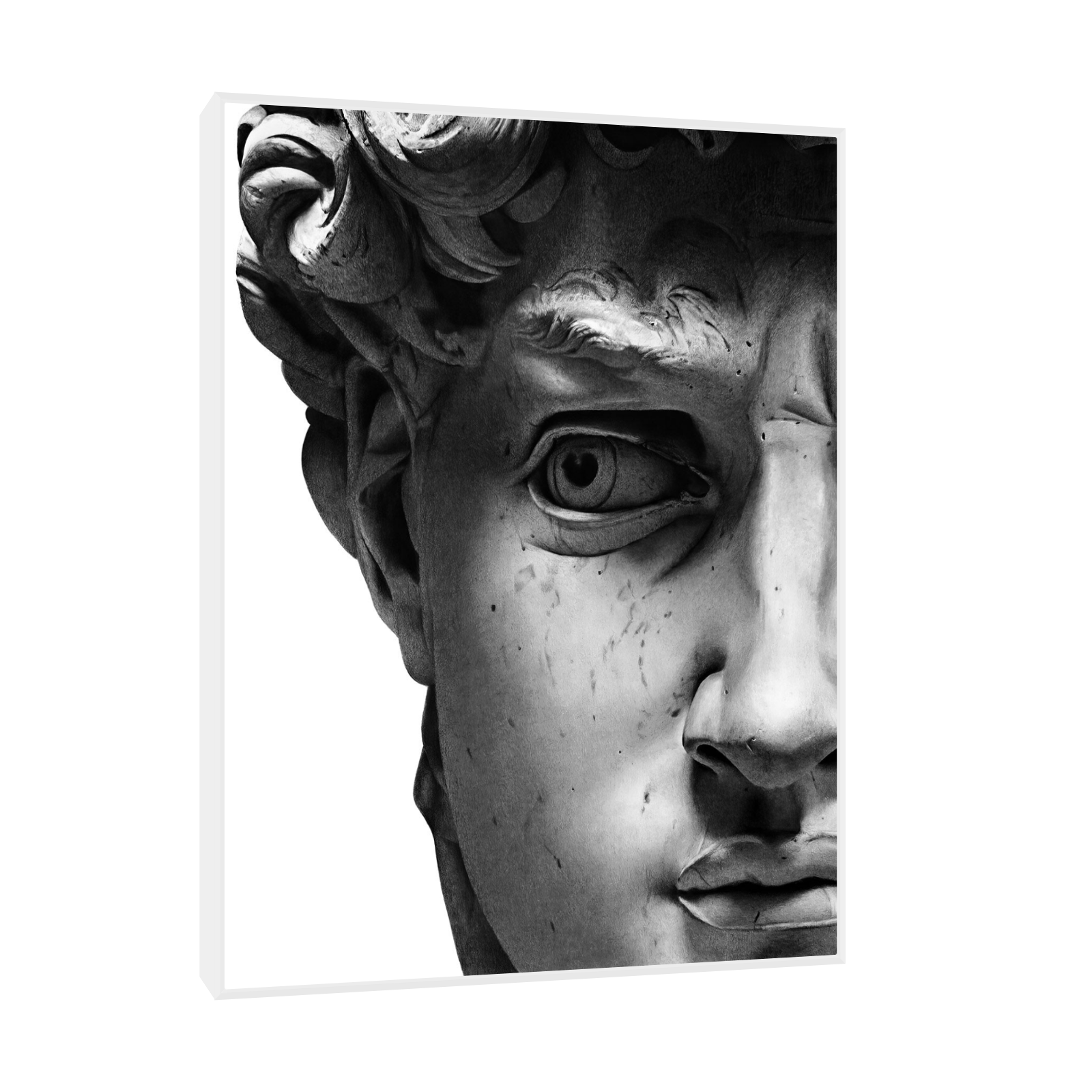 Umetnička slika ​David II na platnu - NS Canvas Shop