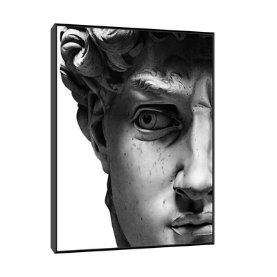 Umetnička slika ​David II na platnu - NS Canvas Shop