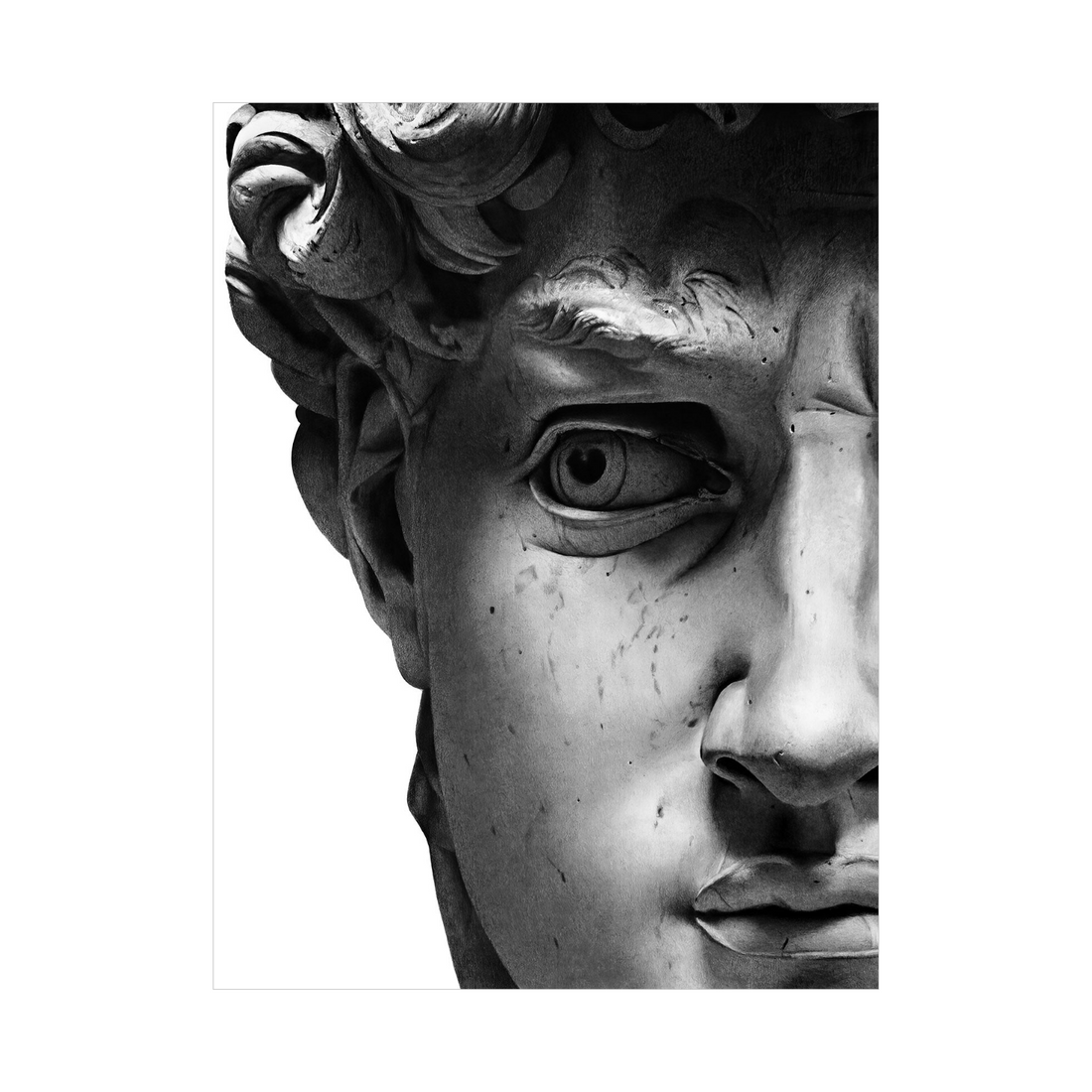 Umetnička slika ​David II na platnu - NS Canvas Shop