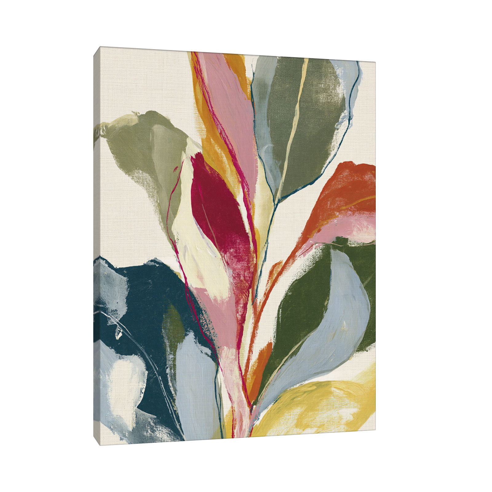 Flora