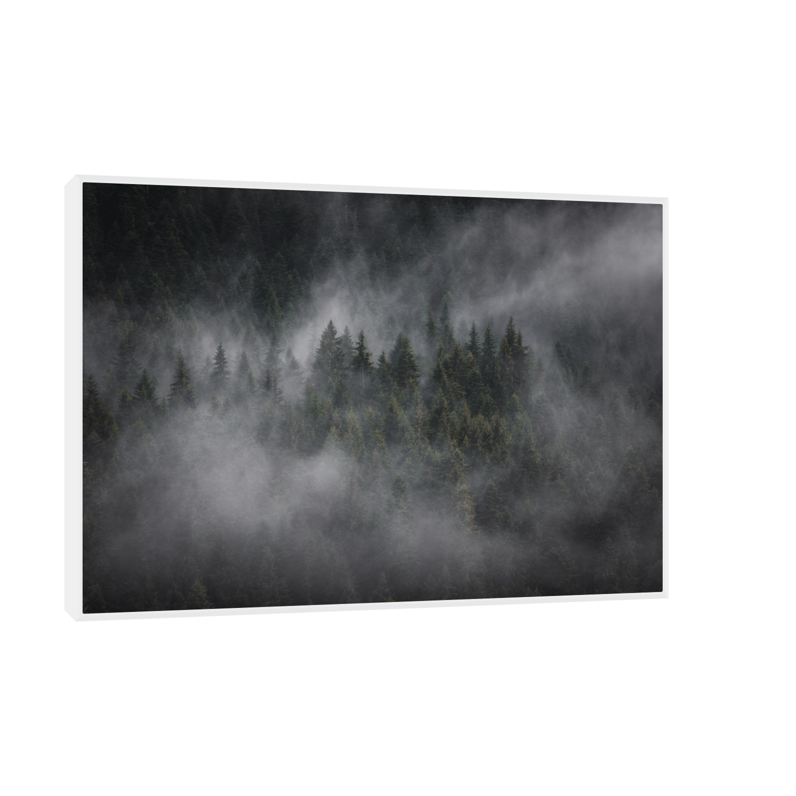 Umetnička slika ​Foggy forest na platnu - NS Canvas Shop