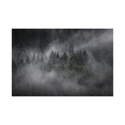 Umetnička slika ​Foggy forest na platnu - NS Canvas Shop