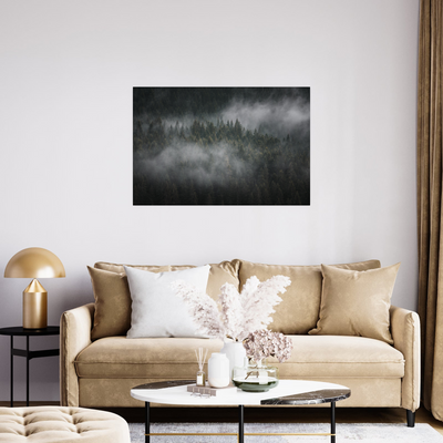 Umetnička slika ​Foggy forest II na platnu - NS Canvas Shop