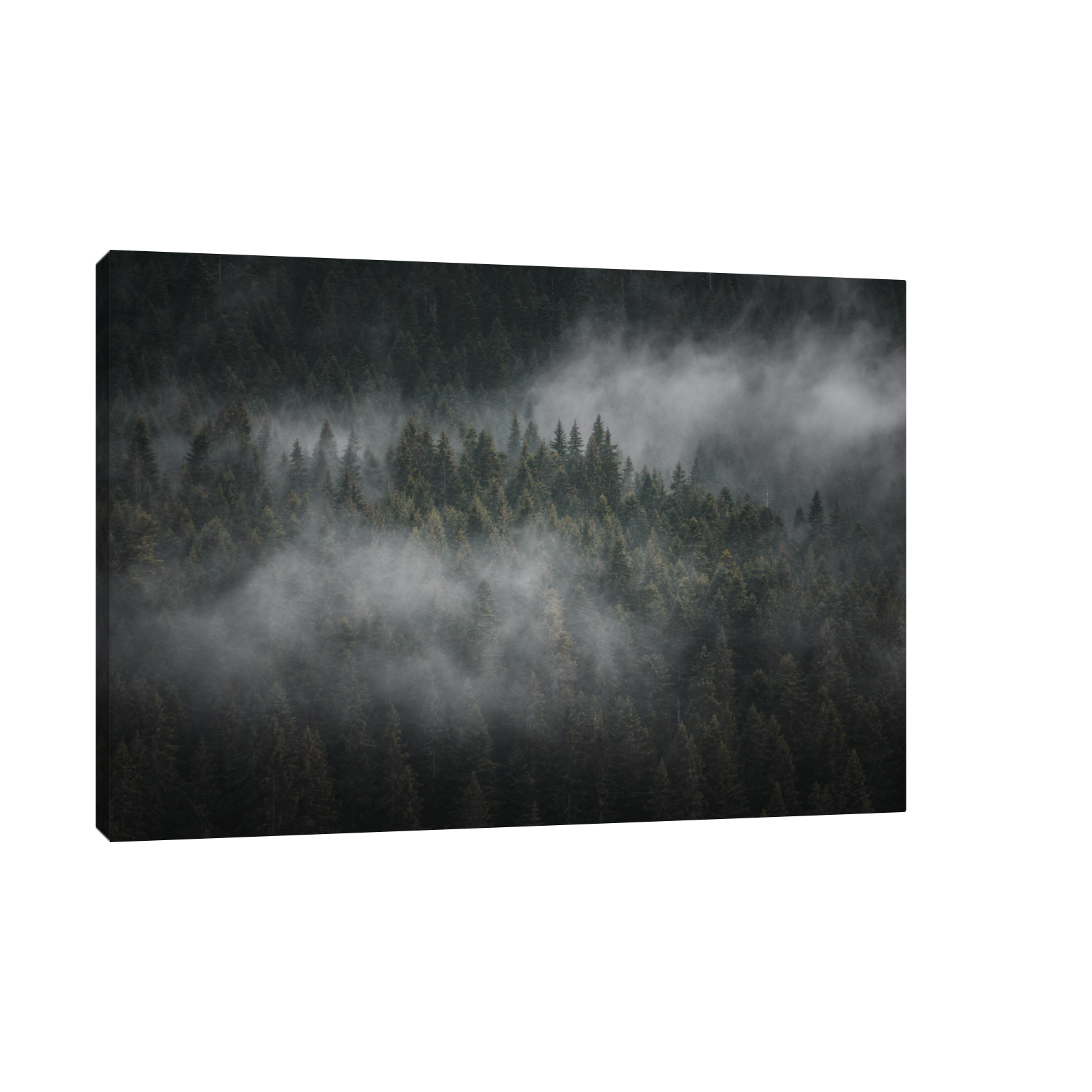 Umetnička slika ​Foggy forest II na platnu - NS Canvas Shop