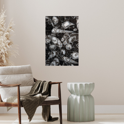 Umetnička slika ​Fosilni puževi (Nemačka) na platnu - NS Canvas Shop