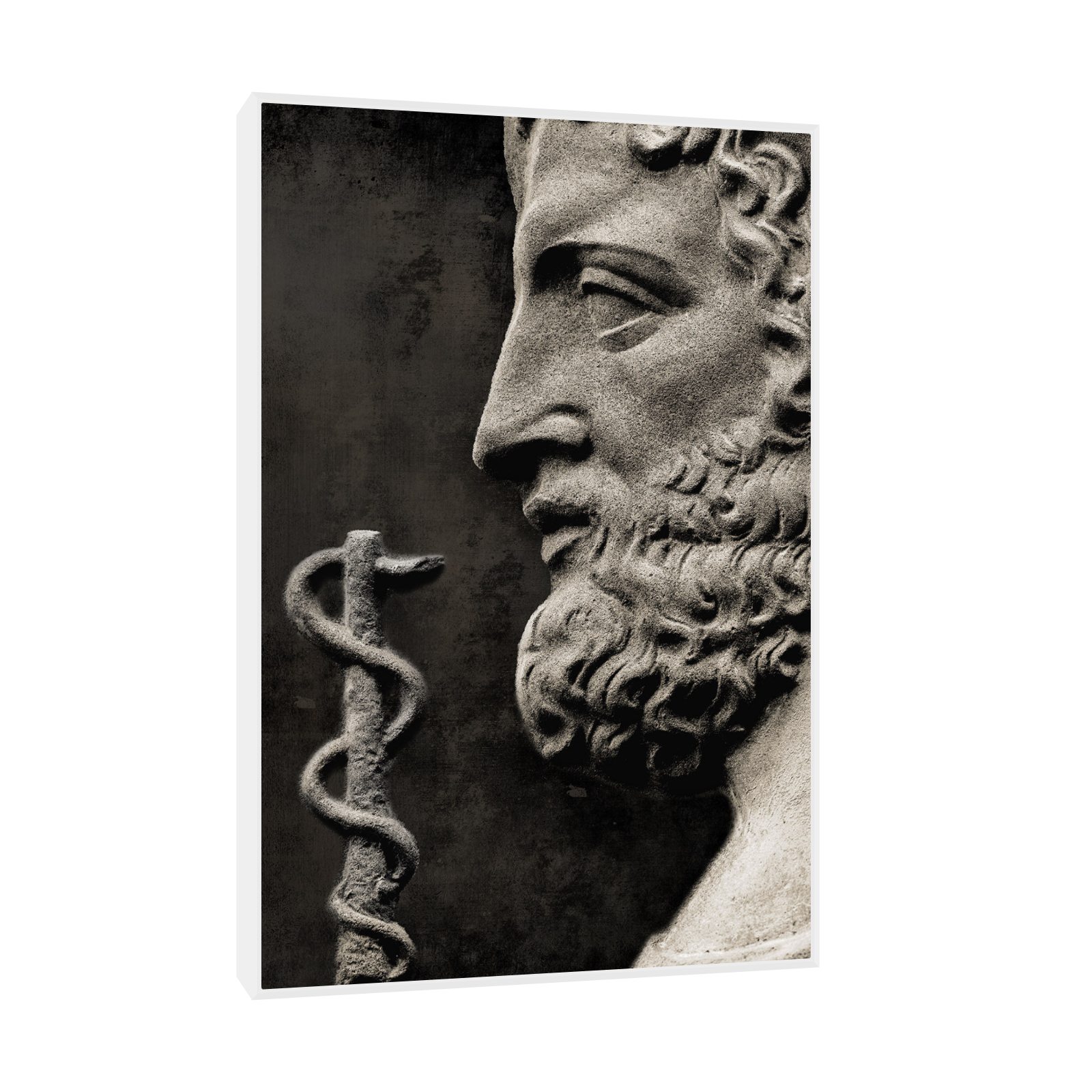 Umetnička slika ​Grčki bog lečenja Asclepius na platnu - NS Canvas Shop