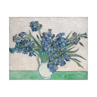 Umetnička slika ​Irises, Vincent van Gogh na platnu - NS Canvas Shop