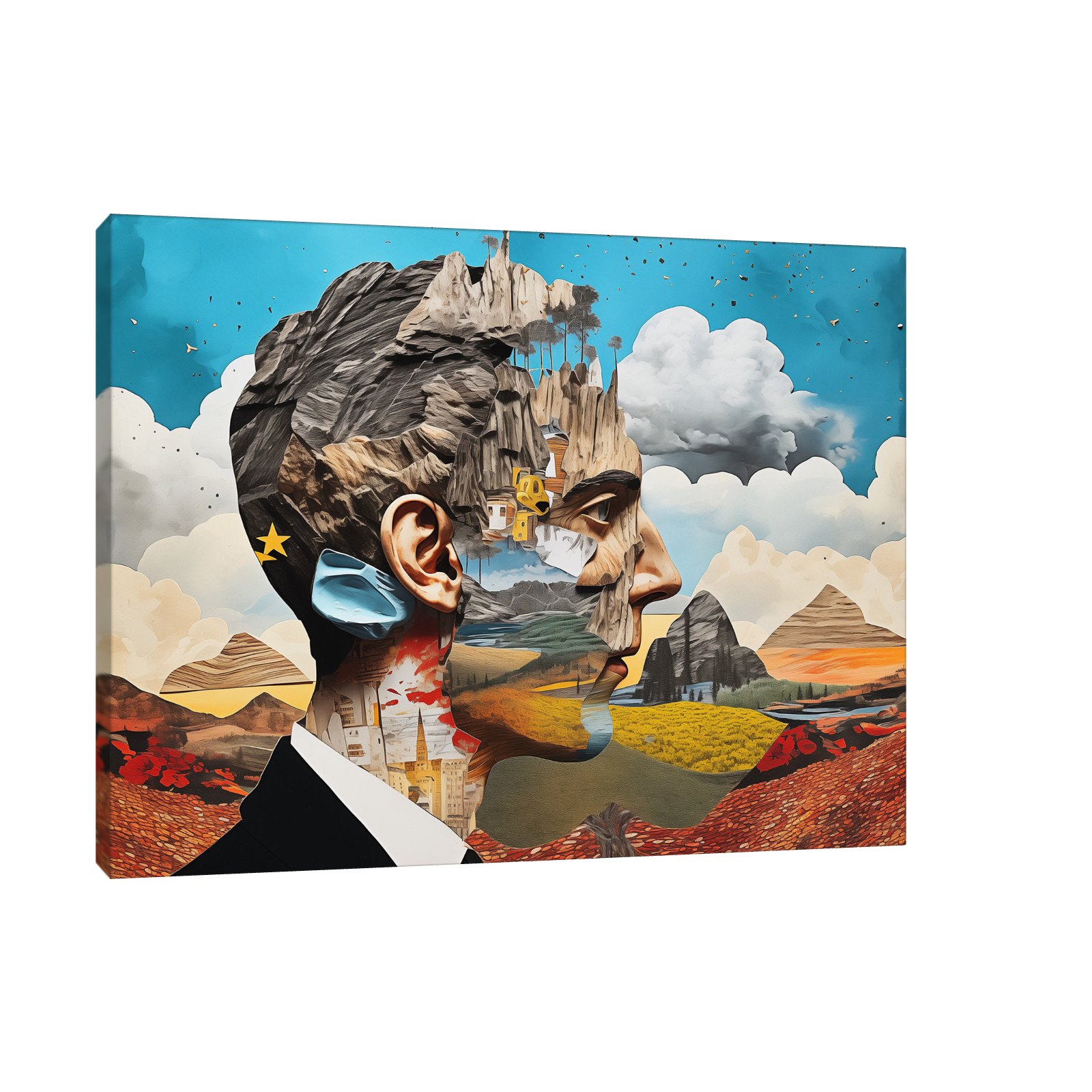 Umetnička slika ​Kolaž na platnu - NS Canvas Shop