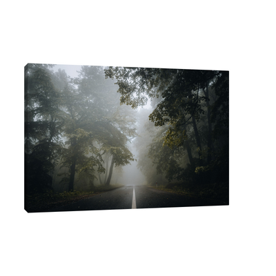 Umetnička slika ​Kroz šumu na platnu - NS Canvas Shop