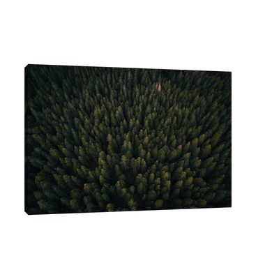Umetnička slika ​Kroz šumu na platnu - NS Canvas Shop