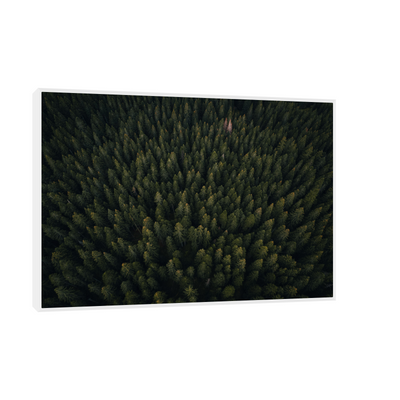 Umetnička slika ​Kroz šumu na platnu - NS Canvas Shop