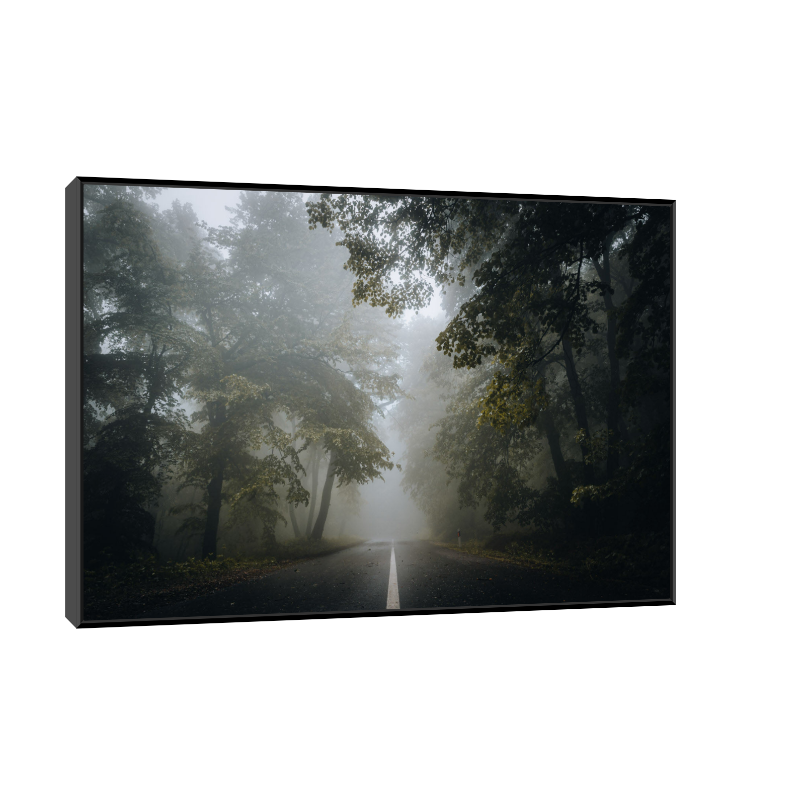 Umetnička slika ​Kroz šumu na platnu - NS Canvas Shop