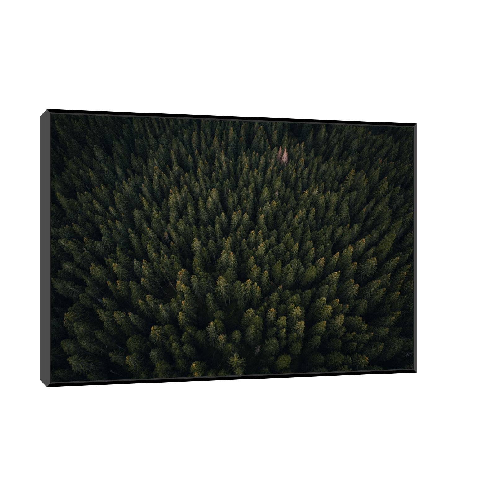 Umetnička slika ​Kroz šumu na platnu - NS Canvas Shop