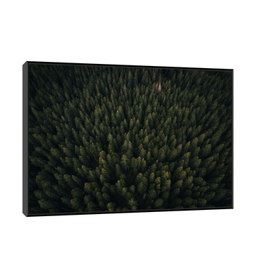 Umetnička slika ​Kroz šumu na platnu - NS Canvas Shop