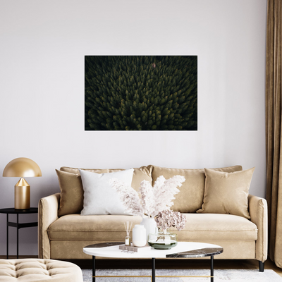 Umetnička slika ​Kroz šumu na platnu - NS Canvas Shop
