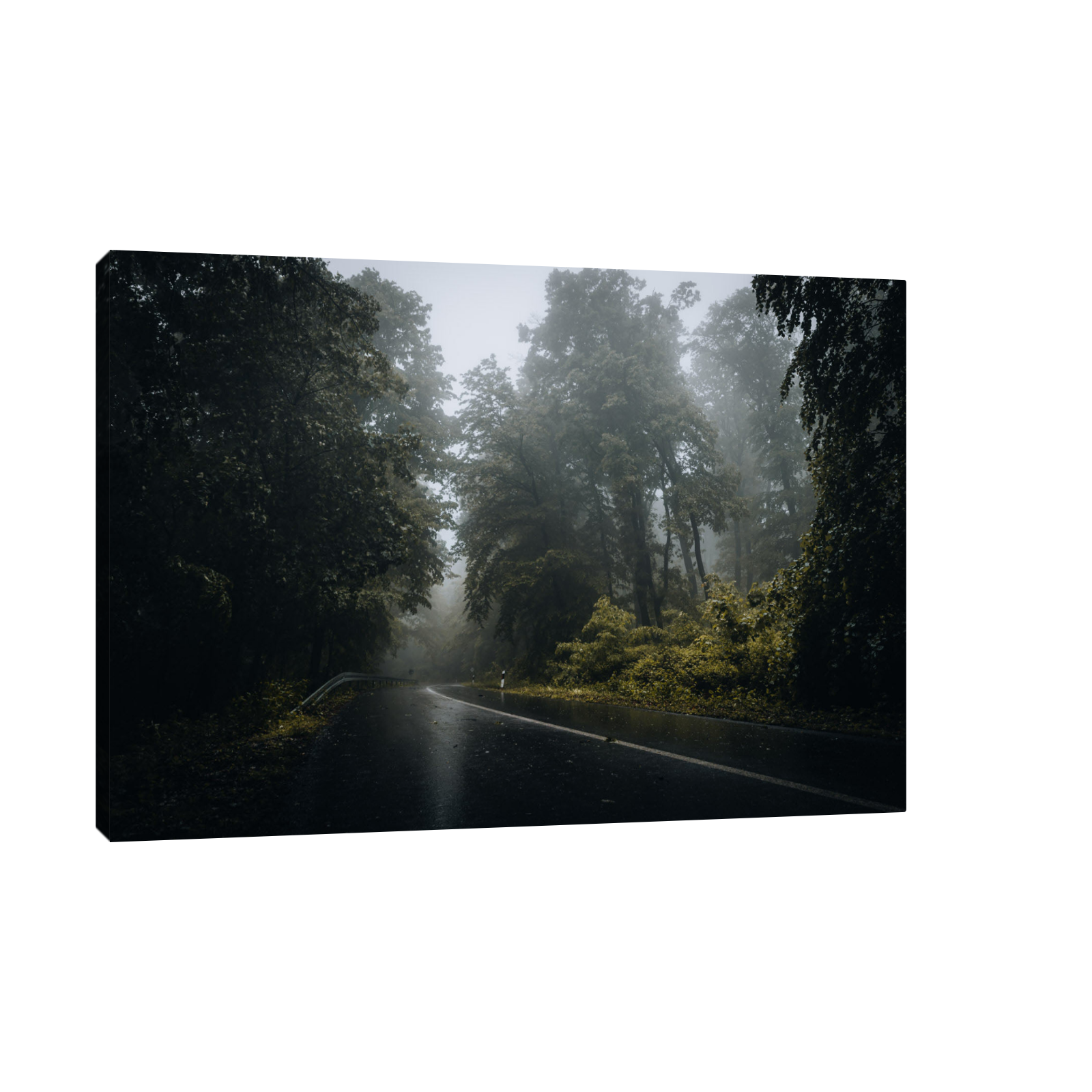 Umetnička slika ​Kroz šumu II na platnu - NS Canvas Shop
