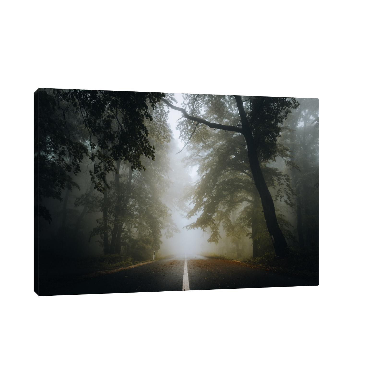 Umetnička slika ​Kroz šumu III na platnu - NS Canvas Shop