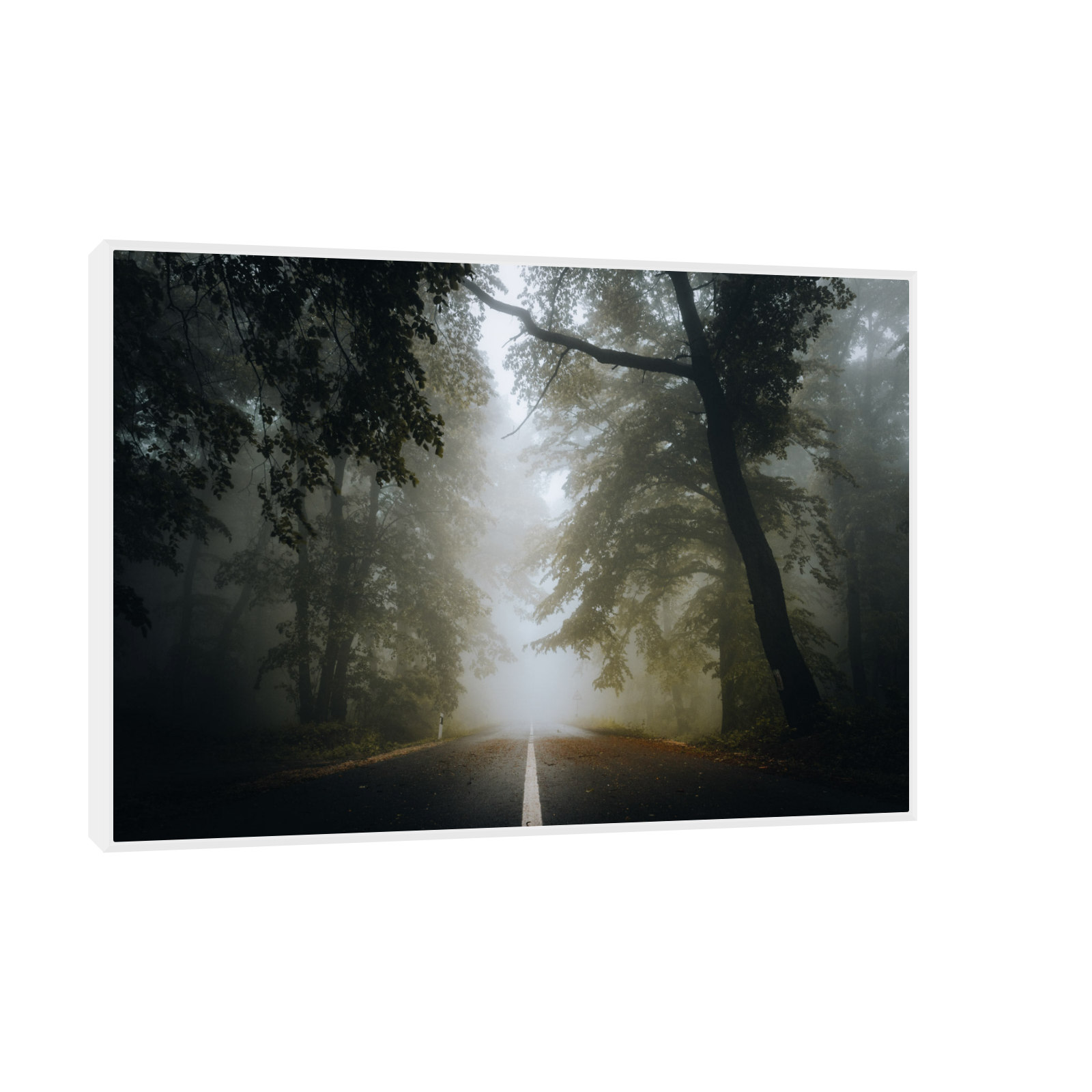 Umetnička slika ​Kroz šumu III na platnu - NS Canvas Shop