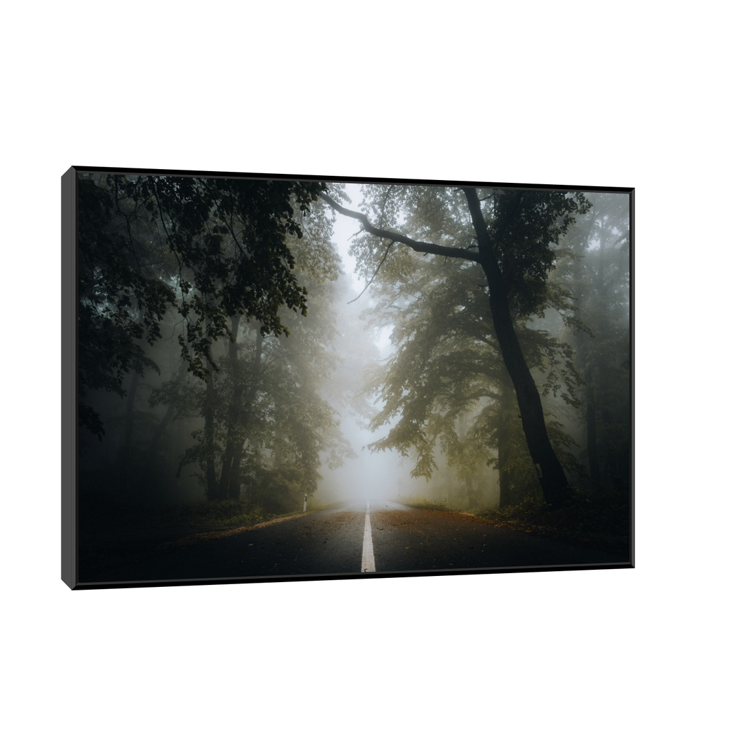 Umetnička slika ​Kroz šumu III na platnu - NS Canvas Shop