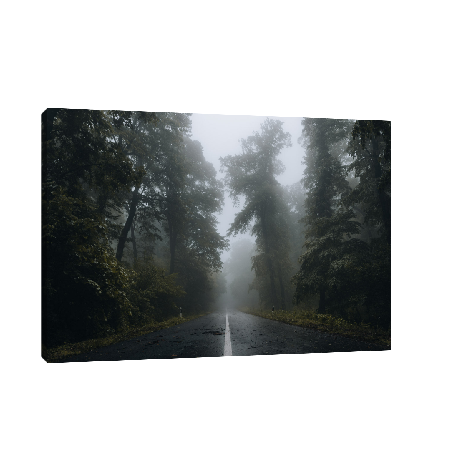 Umetnička slika ​Kroz šumu IV na platnu - NS Canvas Shop