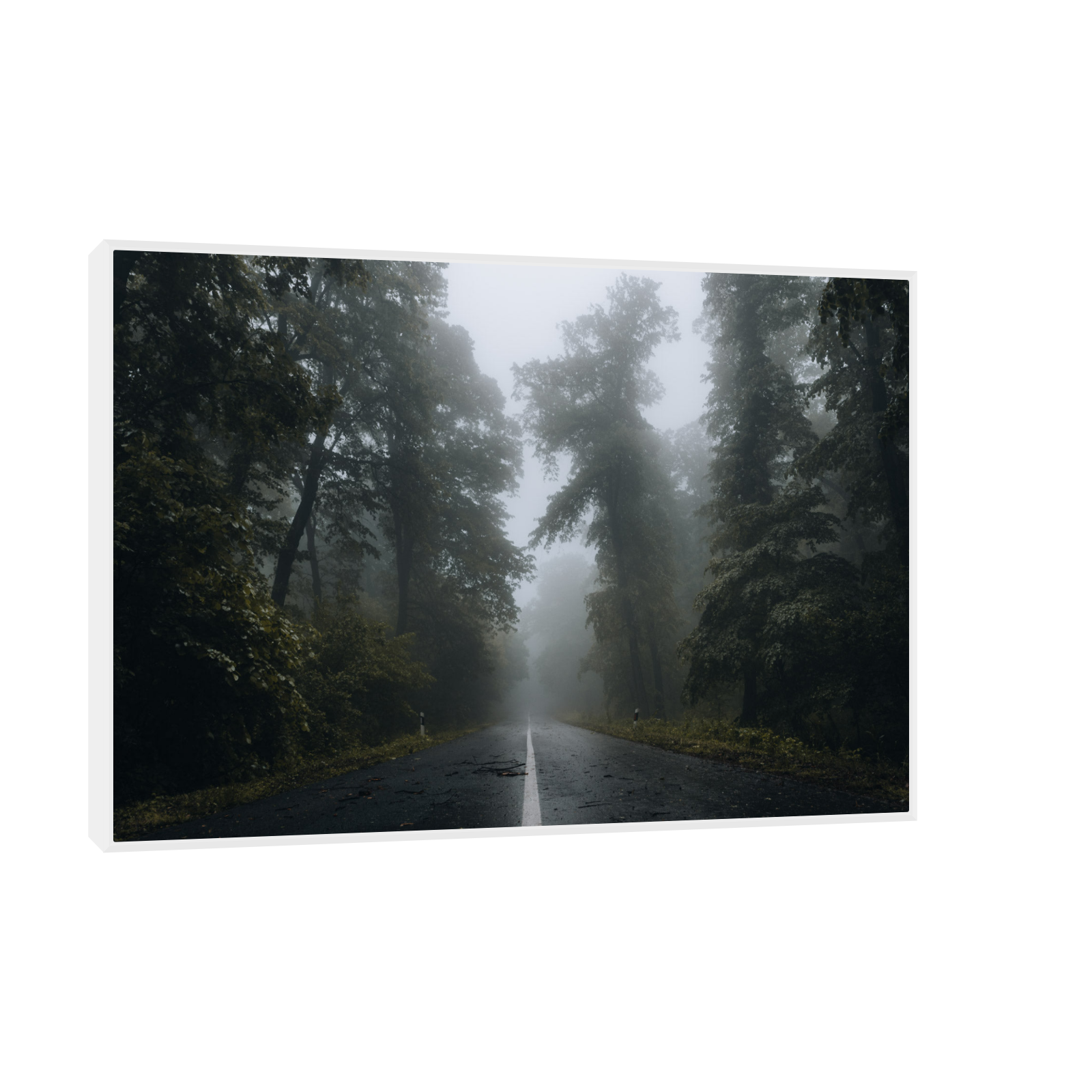 Umetnička slika ​Kroz šumu IV na platnu - NS Canvas Shop