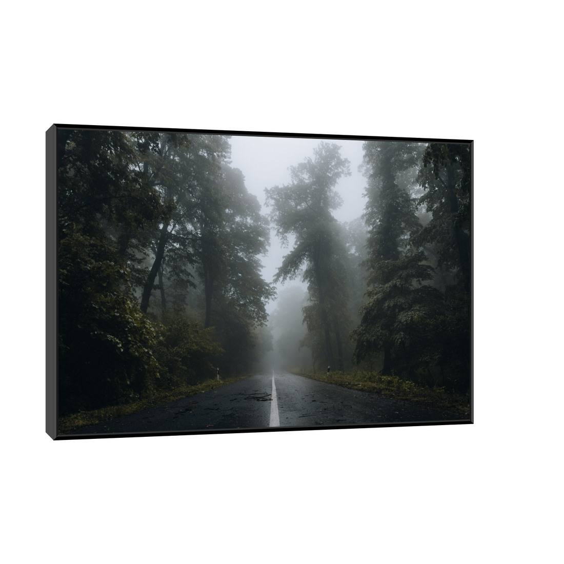 Umetnička slika ​Kroz šumu IV na platnu - NS Canvas Shop