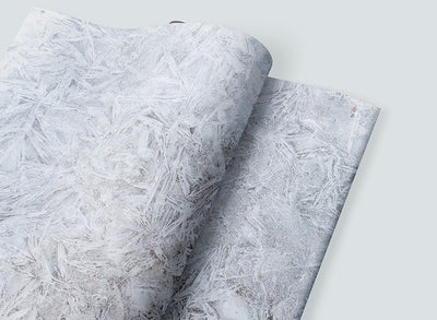 Umetnička slika ​Led II na platnu - NS Canvas Shop